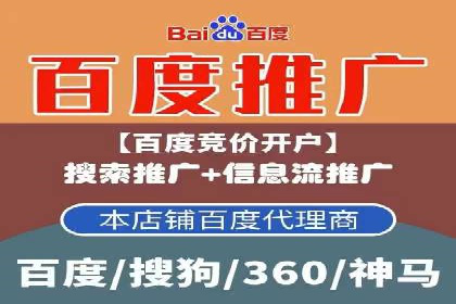 百度竞价推广案例：行业领军者成长故事